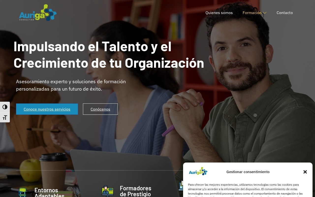 Web de Auriga Consulting
