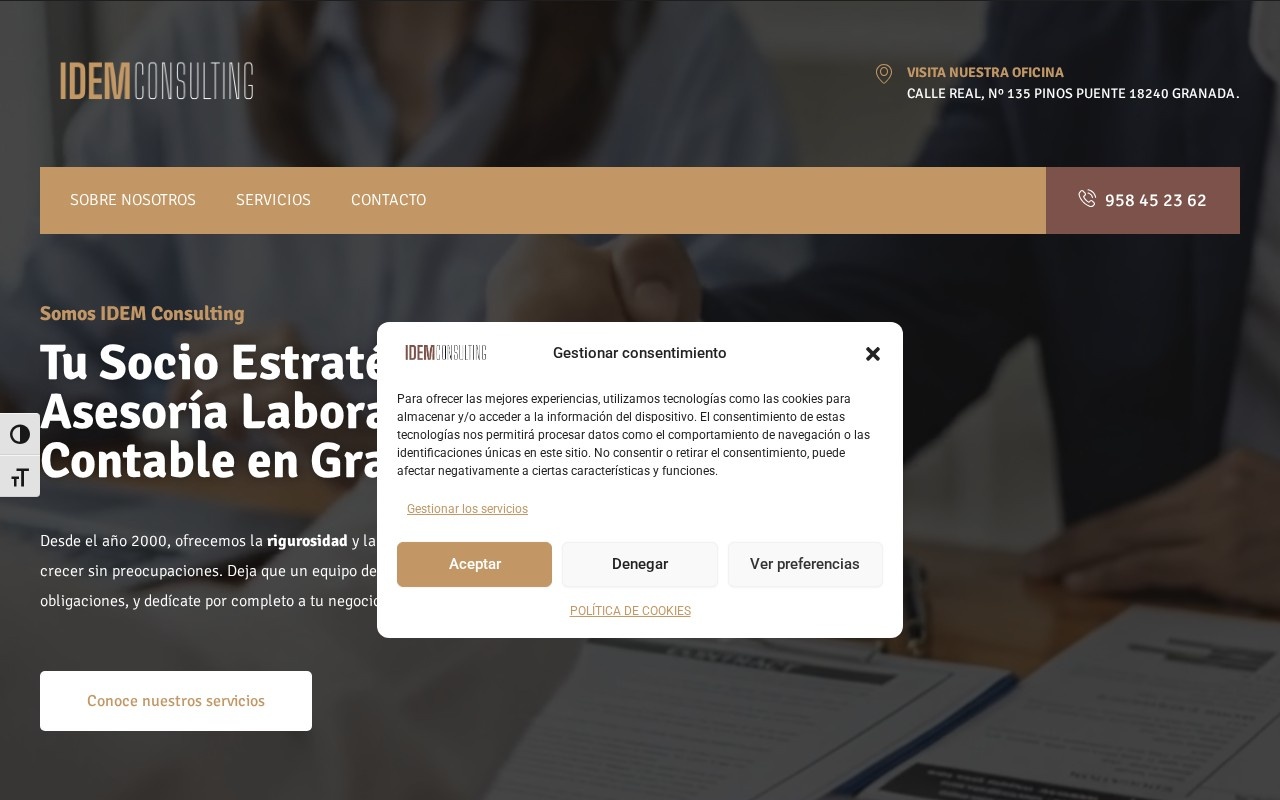 Web de IDEM Consulting