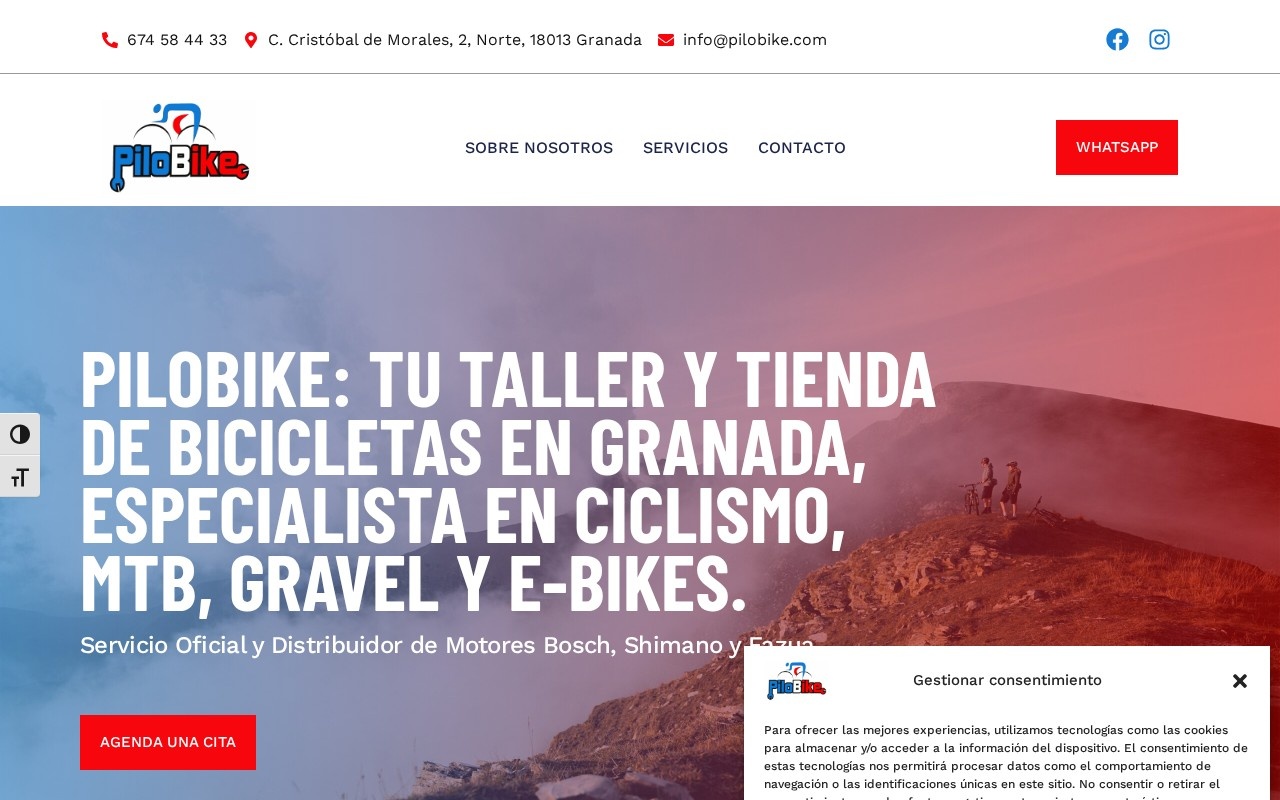 Web de PiloBike